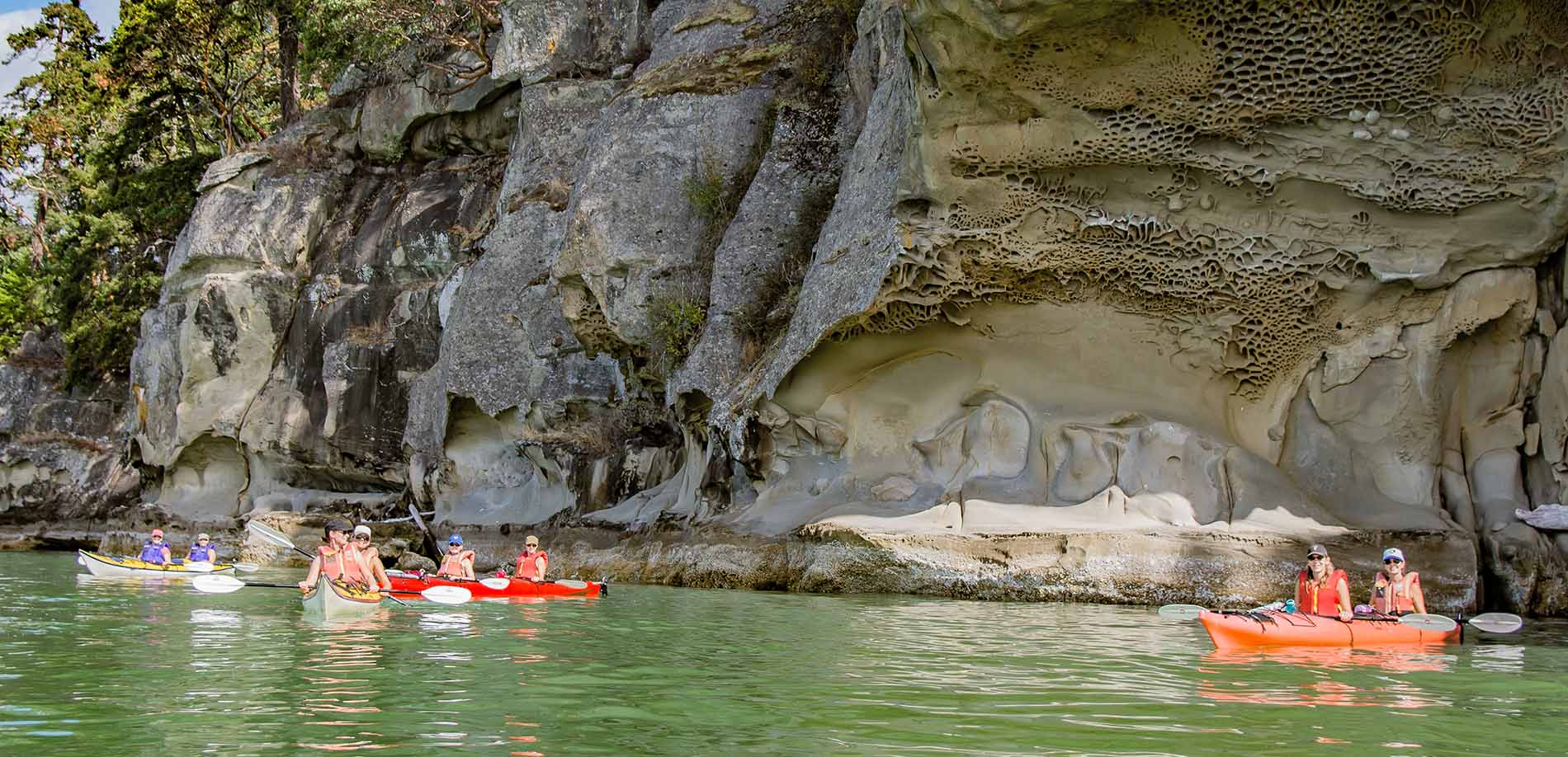kayak tours vancouver island